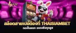 สล็อตสายเปย์ต้องที่ thaisiambet กดเป็นแตก แจกจริงทุกยูส